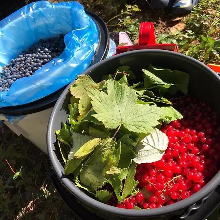 Ferienhaus Rajan Loma Eco Village *