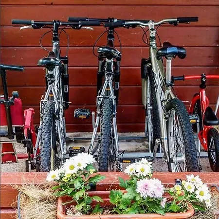 Rajan Loma Eco Village Feriehus *