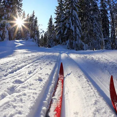 Rajan Loma Eco Village Feriehus